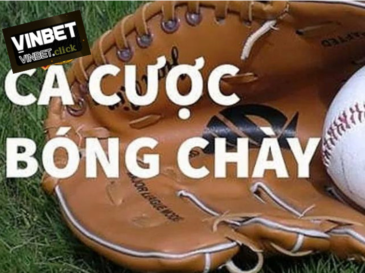 Luật cá cược bóng chày tại nhà cái Vinbet chi tiết nhất