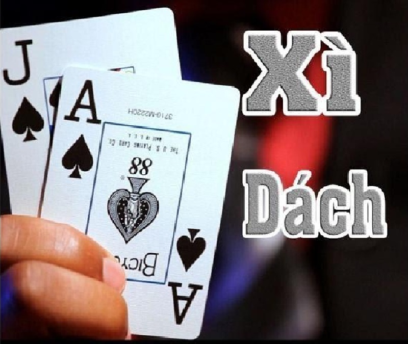 Có gì đặc biệt tại xì dách Vinbet